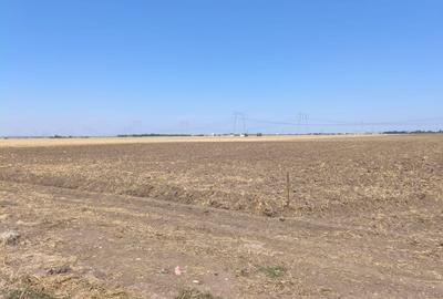 Teren Construcții intravilan de 510 mp, în Vidra - 2