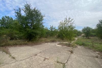Teren Construcții intravilan de 100000 mp, în Central - 6