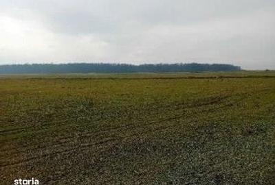 Spațiu comercial, în Ciobani - 8