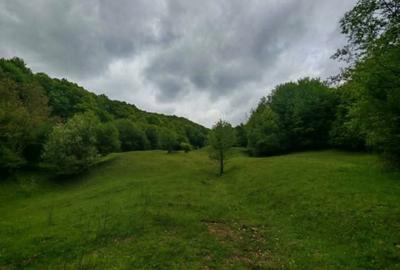 Spațiu comercial, în Drajna - 2