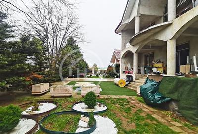 Proprietate speciala de inchiriat D+P+E+M in Calea Aradul... - 9
