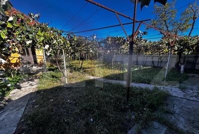 Casă cu 3 camere cu Teren 1173 Mp în Debarcader - 2