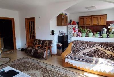 De vanzare vila compusa din 3 apartamente - 4