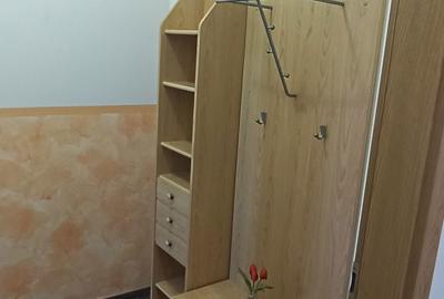 Apartament în Dosu Bricii - 3