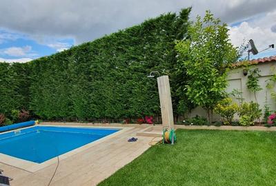 Vila de lux cu piscina, sauna si acces la lacul Casla - 2