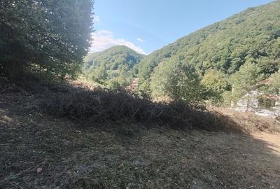 Teren de 4400 mp, în Cugir - 7