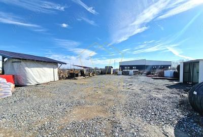 Spațiu comercial, în Albina - 3