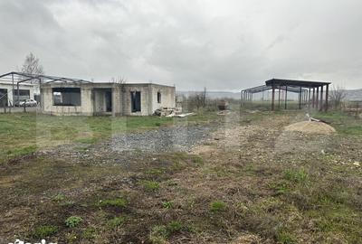 Casă cu 5 camere cu Teren 2400 Mp în Beriu - 2