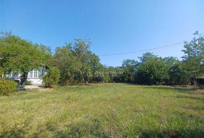 Casa Giurgiu- Ghimpati Sat Bila - 6