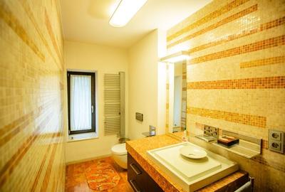 Vila deosebita Braytim - 19