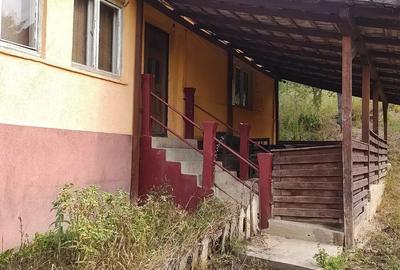 Vand casa - 4