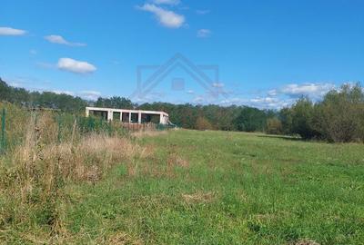 TEREN INTRAVILAN\699 mp, 45€ mp\ CARANSEBEȘ\ ZONA TEIUȘ - 5