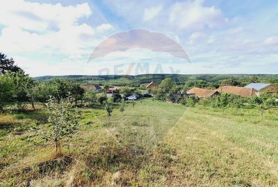 Teren 3,219mp Hidiselu de Sus / Strada Principala - 4