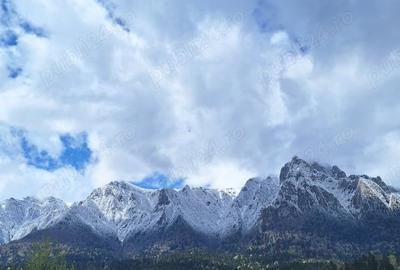 Casă cu 8 camere cu Teren 540 Mp în Poiana Țapului - 7