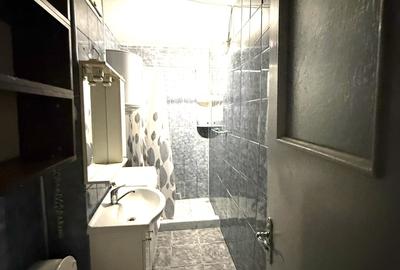 Dristor, Fizicienilor, Kaufland - 4