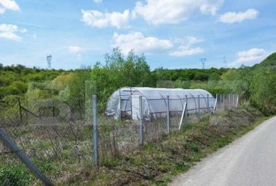 Teren 31 ari, zona linistita - 8