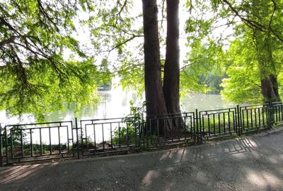 Tei, Parcul Circului - 1