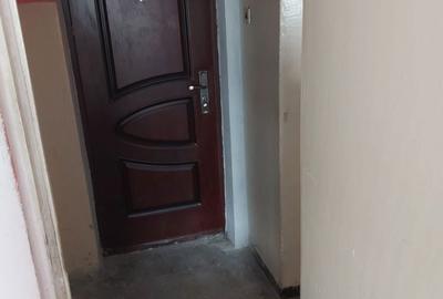Apartament cu 2 camere semidecomandat în Cisnădie - 4