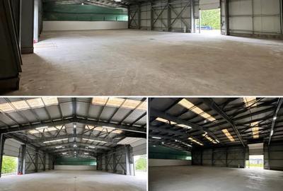 Inchiriez Hala 700mp + 130mp birouri Manolache - Ilfov A0-A2-DnCB - 5