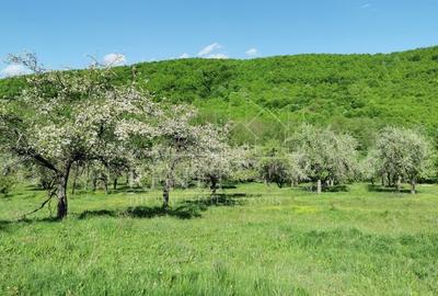 Teren Construcții extravilan de 680 mp, în Budeasa Mică - 3