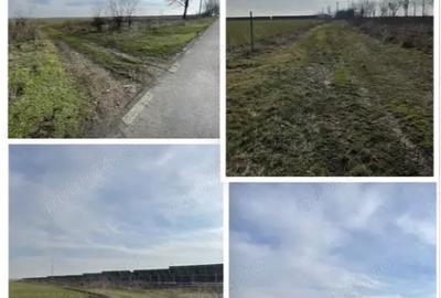 Teren de 100000 mp, în Central - 4