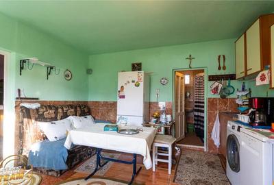 FILM! Casa cu sura, pivnita, balta cu pesti, 2.280 mp teren - 2