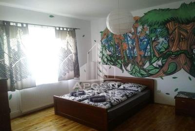 Casa individualapretabil pensiune pe Clisura Dunarii - 14