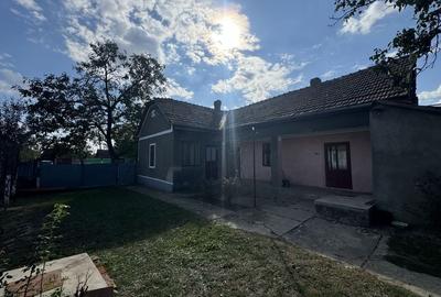 Casă de vânzare in Tisa Nouă, teren generos - 22