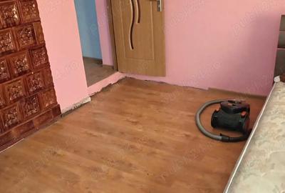 Casă cu Teren 1300 Mp în Dămienești - 3