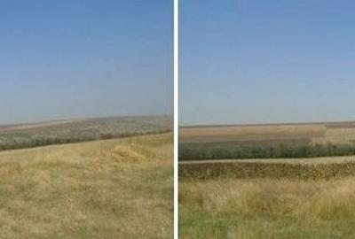 Teren Extravilan cota parte 1/4, Varlezi, ID: R2730256 - 7