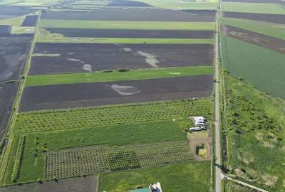 Livada de nuci ?i pruni 2.4ha in Varia?ul Mare - 14