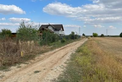 Terenuri Peris - loturi de 800 mp +130mp drum acces - 10