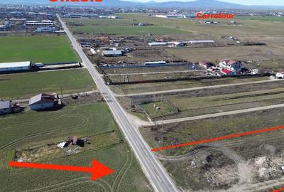 Teren agricol extravilan de 10128 mp, în Est - 2