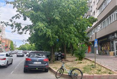 Spatiu comercial 30 mp de inchiriat – Nicolae Grigorescu - 1