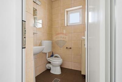 Teren Construcții intravilan de 43708 mp, în Scobâlțeni - 17