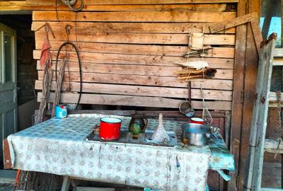 Casa de vanzare cu gradina - 6