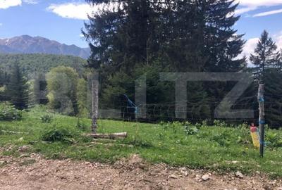 Teren de 5500 mp, în Central