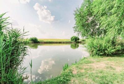 Teren Valea Plopilor com Ghimpati - 2