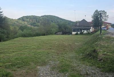 Teren de 3000 mp, în Vârfuri - 2