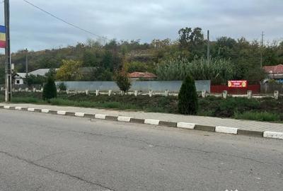 Casă cu 3 camere cu Teren 4429 Mp în Malcoci - 5