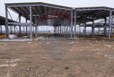 Spațiu industrial, de 575 mp, în Afumați - 5