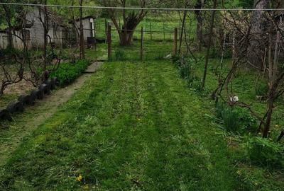 Casă cu 3 camere în Central - 6