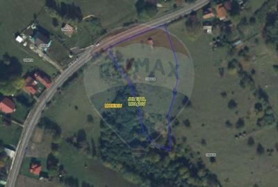 Teren Construcții intravilan de 2847 mp, în Moieciu de Jos - 6