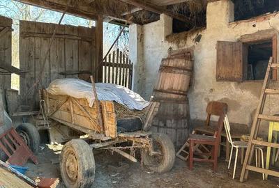 Casă cu Teren 2600 Mp în Biușa - 3