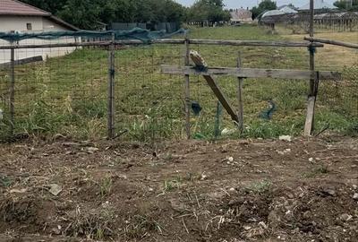 Spațiu comercial, în Vidra - 3