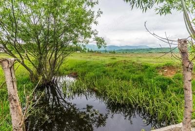 Teren Bran -Sohodol, Strada La mesteceni, 6900mp - 1