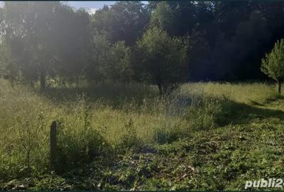 Teren de 2300 mp, în Stolna - 1