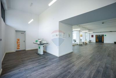 Spațiu industrial, de 800 mp, în Sud-Est - 42