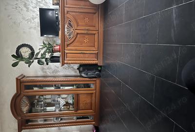 Casa individuala, 9.65 ari teren, zona Profi Sfantu Ilie - 7