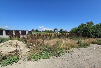 Teren intravilan, 1.600 mp, Serbanesti (LIDL) - 2